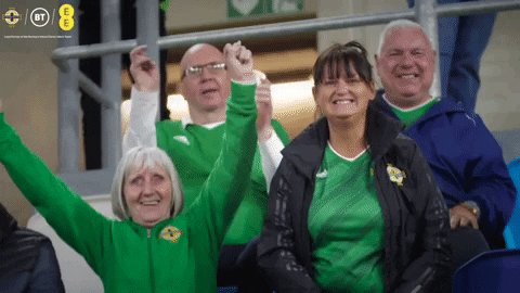 Excited Irish Football GIF by Northern Ireland