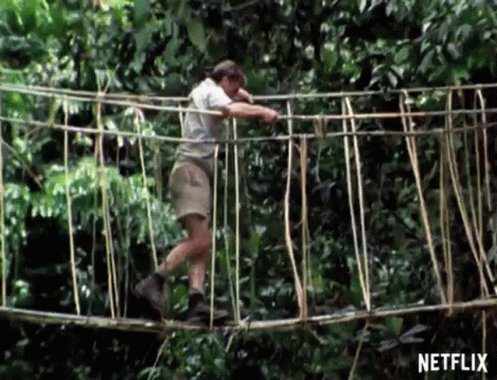 Cross The Bridge David Attenborough GIF