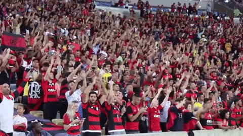 LEGADÃO™ on X: HAALAND É COMPLETAMENTE MENGÃO - CAMISA DO FLAMENGO - CAMISA  DO CORINTHIANS (UNIÃO FLARINTHIANS) - CAMISA DO BOCA (RIVAL DO RIVER QUE  PERDEU PRO MENGÃO NA FINAL) - CAMISA