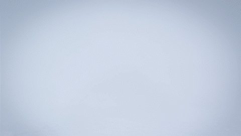 【話題】「きのこの山」派のみなさん！この投稿への反応できのこが成長します！