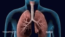 Define Asthma GIF