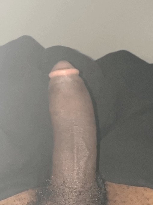 wildbedtc