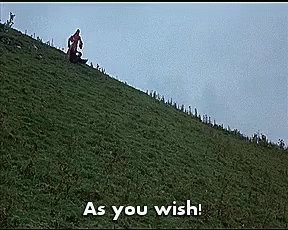 As You Wish Princess GIF