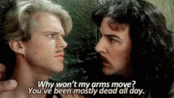 Princess Bride Arms GIF