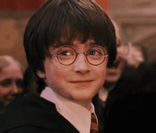 Happy birthday loml, harry potter 