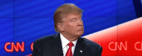 Donald Trump Whatever GIF b...