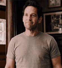 Ant Man Paul Rudd GIF