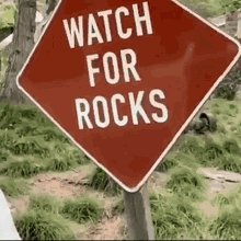 The Rock Watch For Rocks GIF