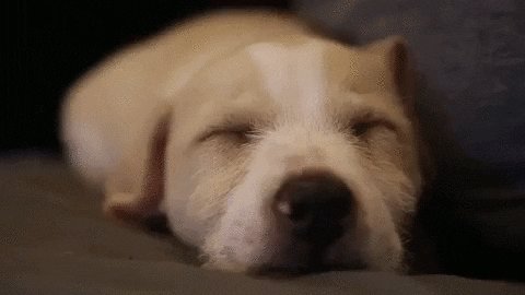 Good night friends ❤️ https://t.co/Wia4JoM4FT