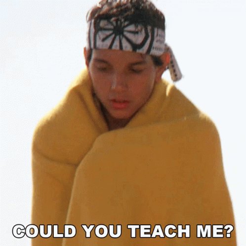 Could You Teach Me Daniel Larusso GIF