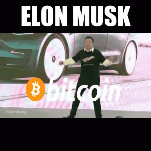 Elon Musk Digibyte GIF