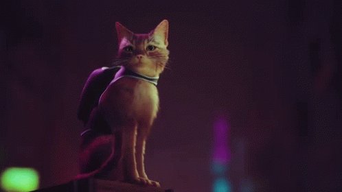 Chel Hell Bunny on Twitter: "I’m only an hour and a half into Stray and