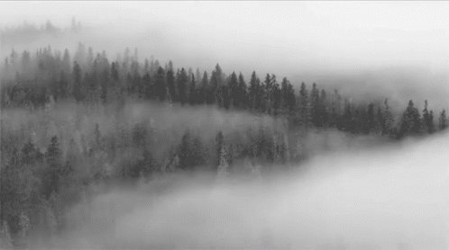 Fog Mountains GIF