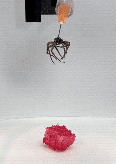 Image of this social media content