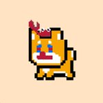 Photo by Crypto Shiba Go (SHIBAGO) (@CryptoShibaGo)