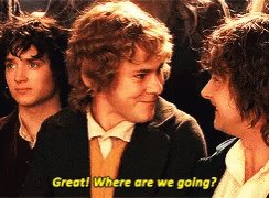 Lotr Merry GIF