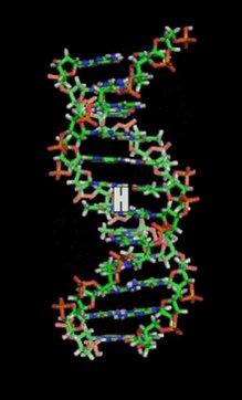 Letter H Dna Structure GIF