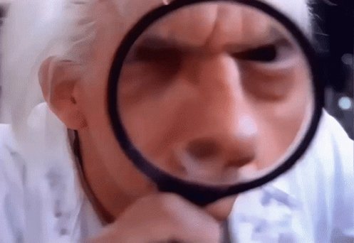 Doc Brown Back To The Future GIF