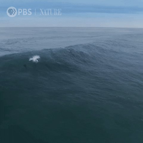 Image of this social media content