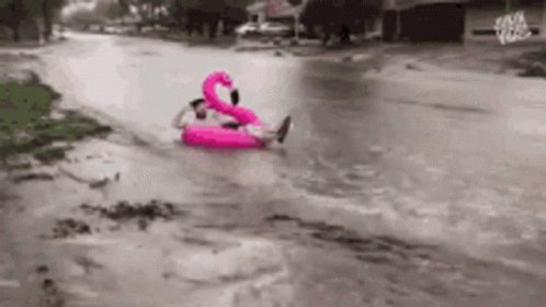 Rolling To Rainy Day Whats Going On GIF