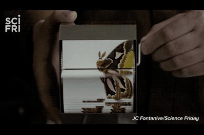 Learn more about JC Fontanive's Ornithology 🕊and Vivarium 🦋 flipbook machine series below. And if you do create your own little flipbook machine (analog instructions in the link), share a photo or video with us!

<a target='_blank' href='http://search.twitter.com/search?q=maker'><a target='_blank' href='https://twitter.com/hashtag/maker?src=hash'>#maker</a></a> <a target='_blank' href='http://search.twitter.com/search?q=flipbooks'><a target='_blank' href='https://twitter.com/hashtag/flipbooks?src=hash'>#flipbooks</a></a> <a target='_blank' href='http://search.twitter.com/search?q=STEAM'><a target='_blank' href='https://twitter.com/hashtag/STEAM?src=hash'>#STEAM</a></a> <a target='_blank' href='http://search.twitter.com/search?q=SciArt'><a target='_blank' href='https://twitter.com/hashtag/SciArt?src=hash'>#SciArt</a></a> <a target='_blank' href='http://search.twitter.com/search?q=DIY'><a target='_blank' href='https://twitter.com/hashtag/DIY?src=hash'>#DIY</a></a>
<a target='_blank' href='https://t.co/lXXSKc1lgI'>https://t.co/lXXSKc1lgI</a> <a target='_blank' href='https://t.co/de8MvJMP3J'>https://t.co/de8MvJMP3J</a>