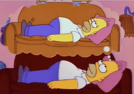 Flojera De Homero GIF