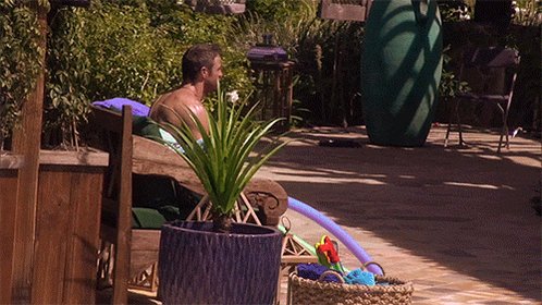 the bachelorette summer GIF...