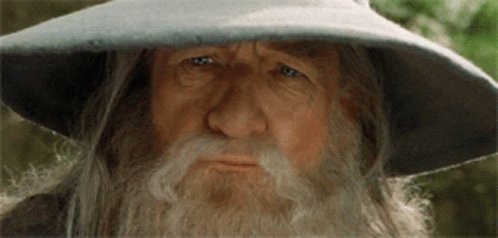 Gandalf Dumbledore GIF