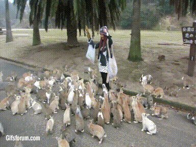 MYLA DEL REY 🌲 on Twitter: “@BeauK317 @Miri_ella_ @Cici_Astral https