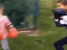 Scooter Gertie GIF