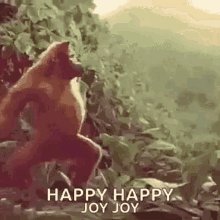 Happy Dance GIF