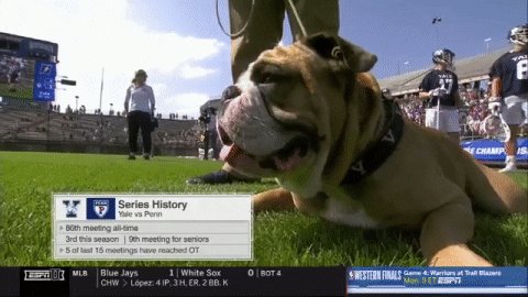 lacrosse bulldogs GIF by NCAA Championships