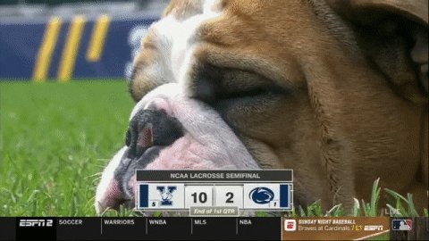lacrosse bulldogs GIF by NCAA Championships
