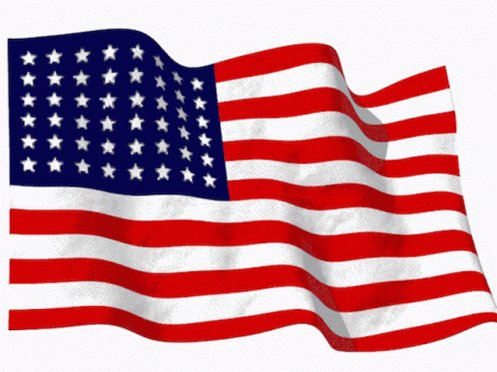 Usa Flag American GIF