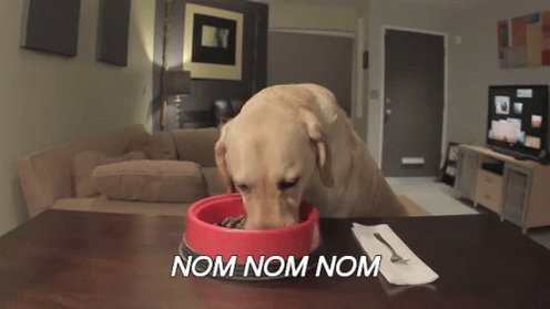 Jack Eatin' Dat Frood! GIF