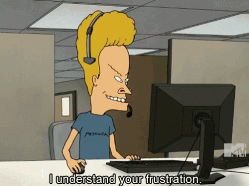 Beavis I Understand Your Frustration GIF