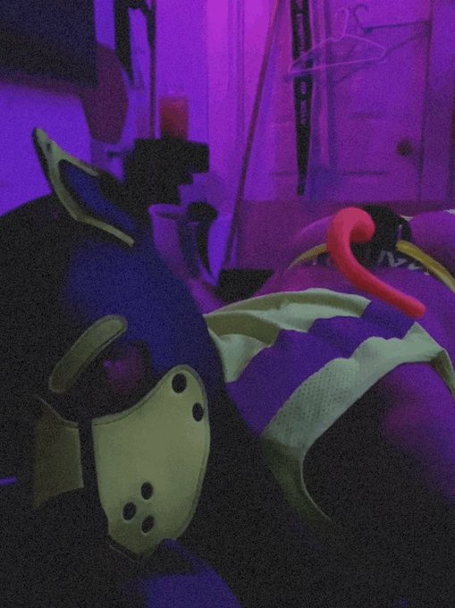 Puppy got some play time https://t.co/2s6hb0TWy1