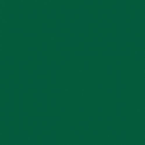 Image of this social media content