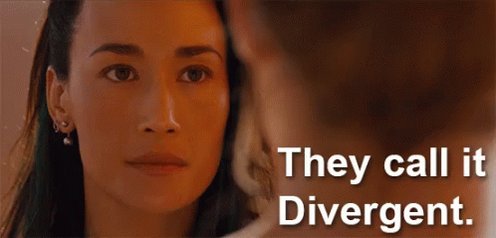 They Call It Divergent GIF