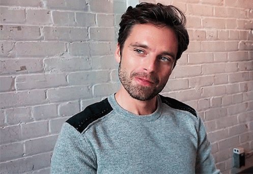 Happy birthday Sebastian Stan  