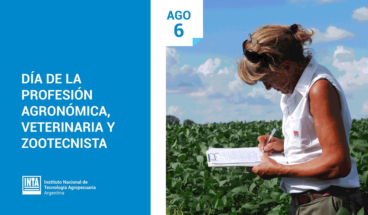 @intaargentina's photo on Profesionales