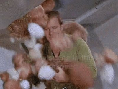 Star Trek Mess GIF