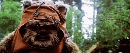 Umm What Ewoks GIF
