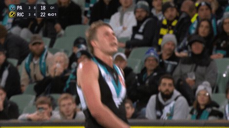 @AFL's photo on #AFLPowerTigers