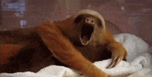 OnlyEms23 on Twitter: "Oopsie my smol nap turned out to be a 5hrs nap