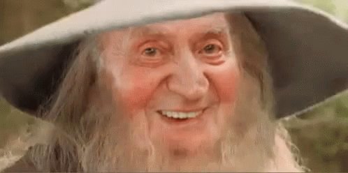 King Lord Of The Rings GIF