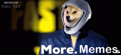 Dogecoin Tweet Dogecoin GIF