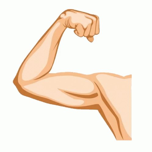 Gym Career Com Muscle GIF