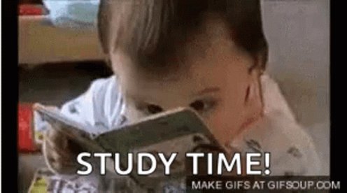 Studying Reading GIF