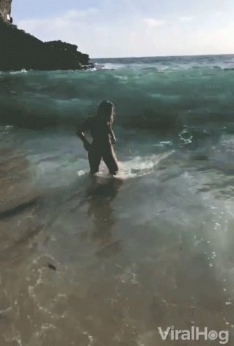Big Wave Hitting Me GIF